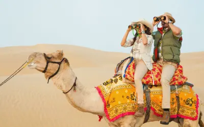 How to Reach Rajasthan